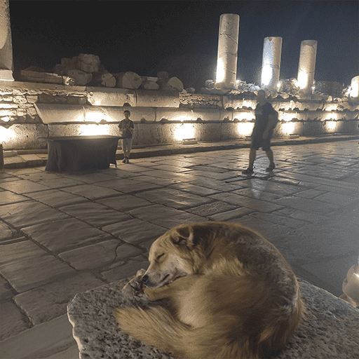 ephesus-night-tours-image-1